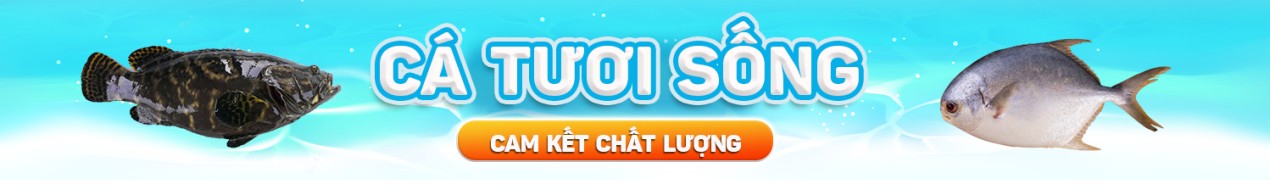 Cá Tươi Sống