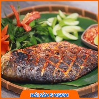 Cá chim trắng tươi sống
