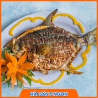 Cá chim trắng tươi sống