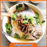 Cá chim trắng tươi sống