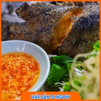 Cá mú sống