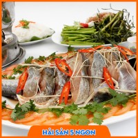 Cá tầm sống