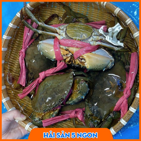 Cua gạch Cà Mau