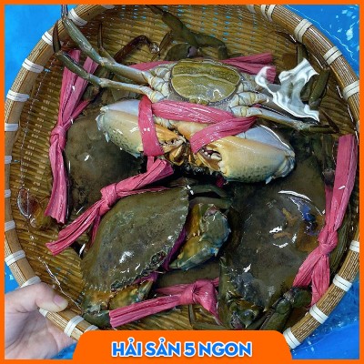 Cua gạch Cà Mau