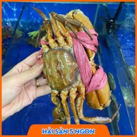 Cua gạch Cà Mau