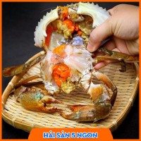 Cua gạch Cà Mau