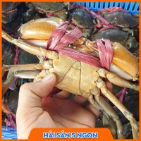 Cua thịt Cà Mau
