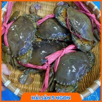 Cua thịt Cà Mau