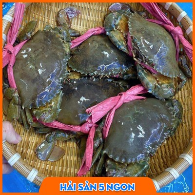 Cua thịt Cà Mau