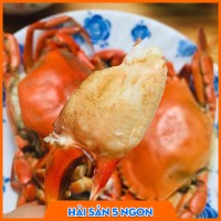 Cua thịt Cà Mau