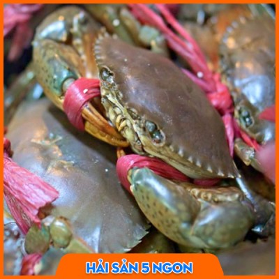 Cua thịt thiên nhiên sống