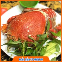 Cua huỳnh đế sống