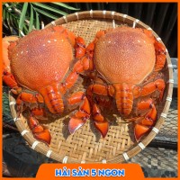 Cua huỳnh đế sống