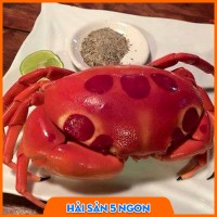 Cua mặt trăng sống