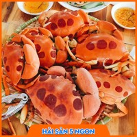 Cua mặt trăng sống
