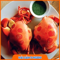 Cua mặt trăng sống
