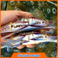 Ghẹ xanh sống