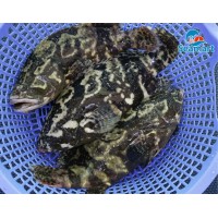tên sản phẩm 1