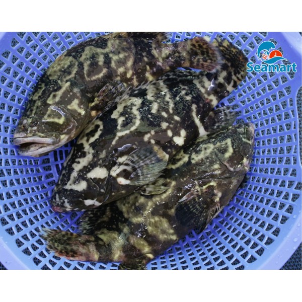 tên sản phẩm 1