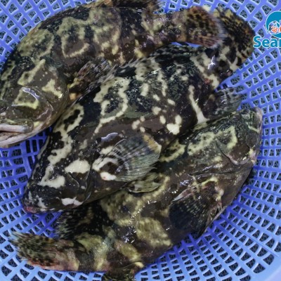 tên sản phẩm 1