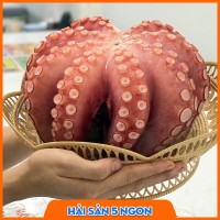 Bạch tuột Nhật