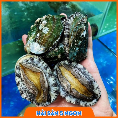 Bào ngư Hàn Quốc