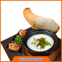 Ốc vòi voi