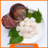 Sò điệp Nhật