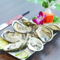Hàu sữa miền Trung