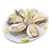 Hàu sữa miền Trung