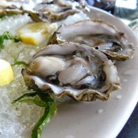 Hàu sữa miền Trung