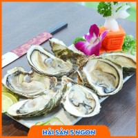 Hàu sữa