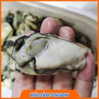 Hàu sữa