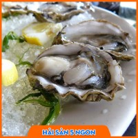 Hàu sữa