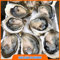 Hàu sữa