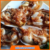 Ngao 2 cồi size nhỏ