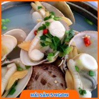 Ngao 2 cồi size nhỏ