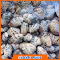 Ngao 2 cồi size nhỏ