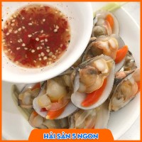 Ngao sần sống
