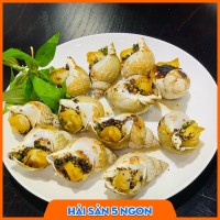 Ốc Bulot sống 
