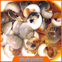 Ốc mỡ sống