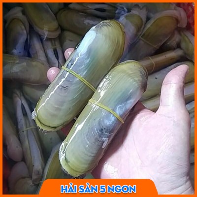 Ốc móng chân sống