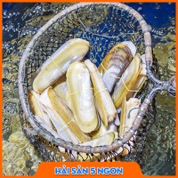 Ốc móng chân sống