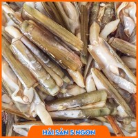 Ốc móng tay sống