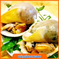 Ốc tỏi sống