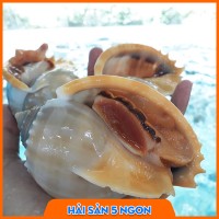 Ốc tỏi sống