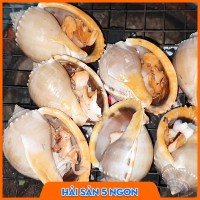 Ốc tỏi sống