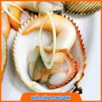 Sò dương