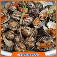 Sò huyết sống