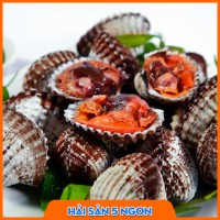 Sò huyết sống